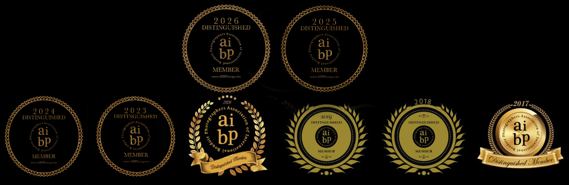 AIBP Membership AIBP Membership
